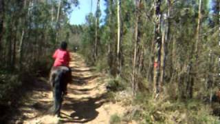 preview picture of video 'riding in portugal horse riding holidays.....Typical mountain ride'
