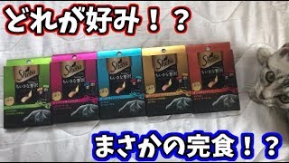 猫に色んな種類のおやつを出したら大変なことになった・・・