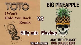 TOTO - I Won&#39;t Hold You Back vs. Big Pineapple - Another Chance - Mashup / βillyMix.Vol.74