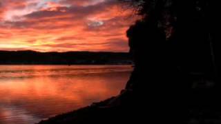 03 The Tallest Man on Earth | Where Do My Blue Bird fly