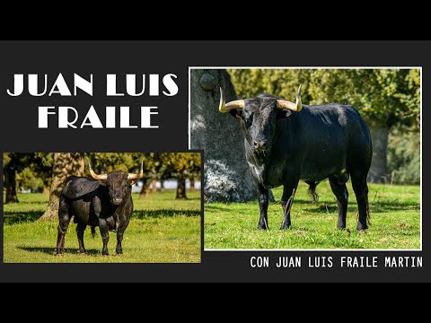 REPORTAJE | JUAN LUIS FRAILE