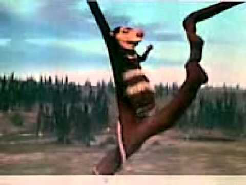 já věřím že poletím