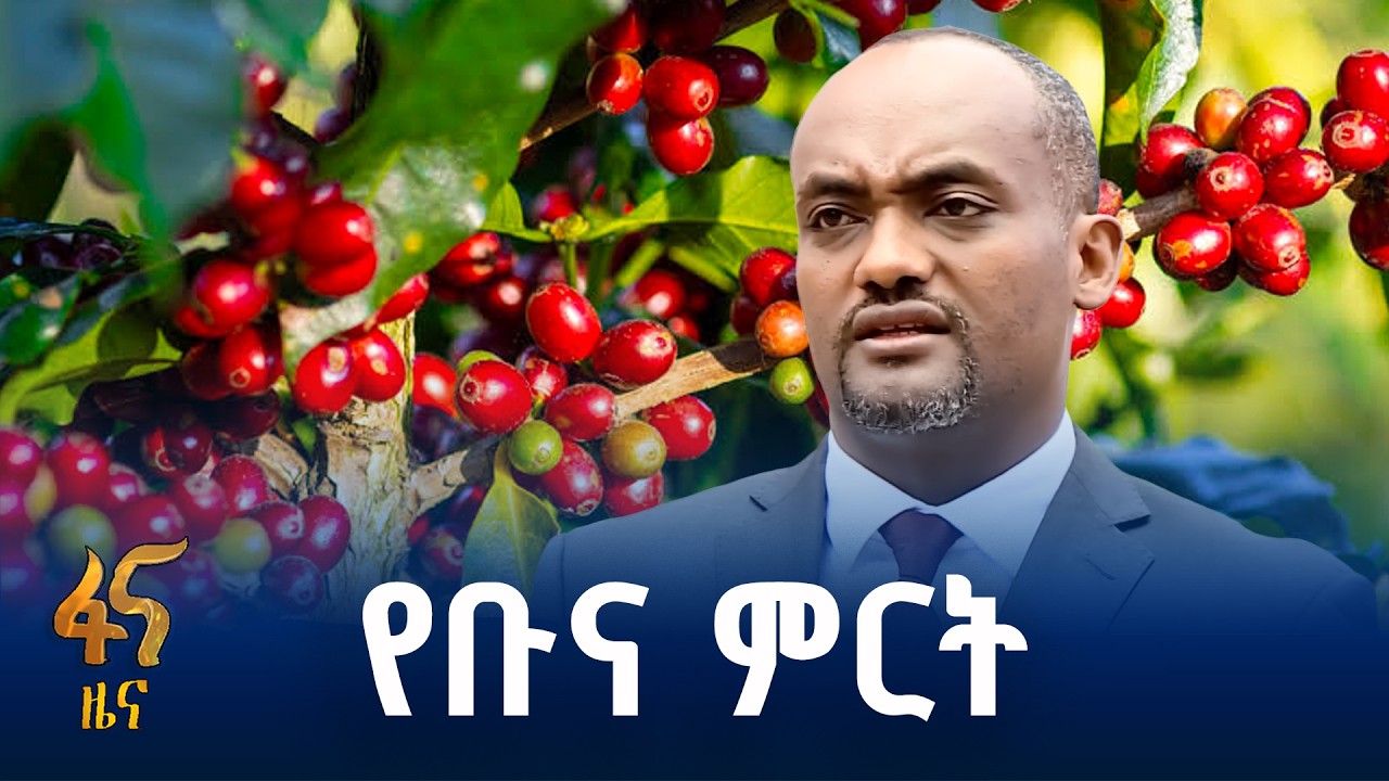 በቢሊዮን የሚቆጠሩት ችግኞች ትሩፋት