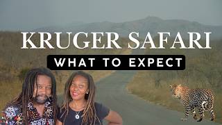 What It's REALLY Like to Do a Self-Drive Safari in Kruger National Park, South Africa