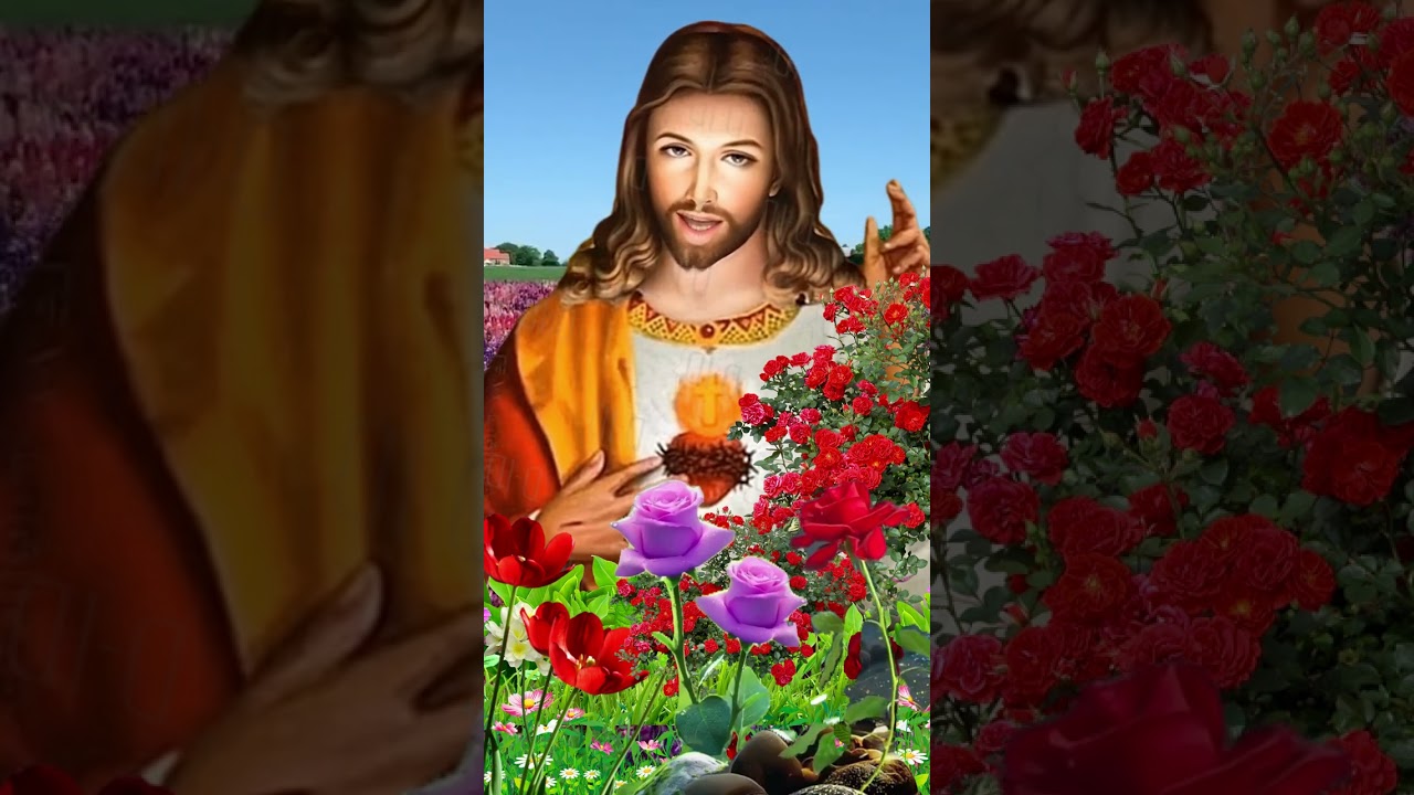 🛑🙏🙏 PALAVRA DE DEUS HOJE Revelação de Deus muito Importante dia 10 11 2023 Ouça🙏🙏 #deusnasuav