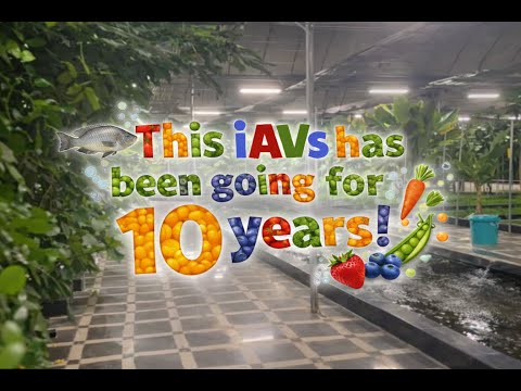 5000sq meter iAVs (yielded over 25 tons of fish and 67 varieties of fruits and vegetables!)