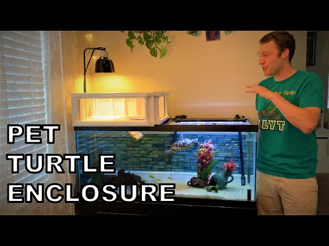 Turtle Tank Setup - Everything That Goes Into My RES Enclosure