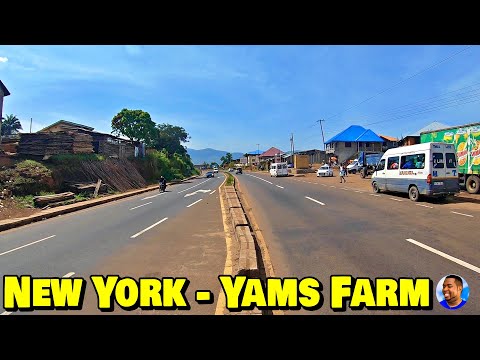 Welcome To NEW YORK COMMUNITY - YAMS FARM - Freetown Rural 🇸🇱 Roadtrip - Explore With Triple-A