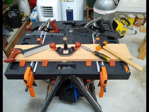 Pros & Cons: Worx Pegasus