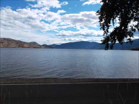 Thumbnail for Family video