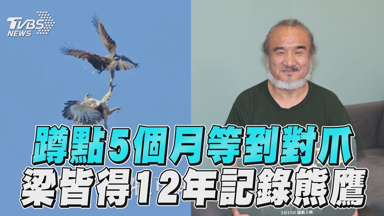 花5個月只為捕捉「對爪」!導演梁皆得堅持12年拍出熊鷹人情味