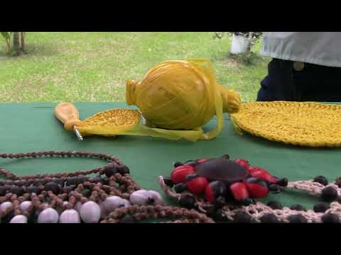 SACHA   AGUARICO UN DESTINO DE ORELLANA, AVISTAMIENTO DE DELFINES ROSADOS Y CULTURA