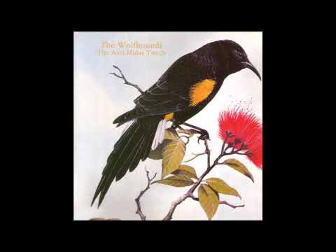 The Wolfhounds - The Anti-Midas Touch (1986)