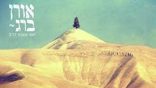 אורן ברג – יותר מתמיד (אורן ברג) - התמונה מוצגת ישירות מתוך אתר האינטרנט יוטיוב. זכויות היוצרים בתמונה שייכות ליוצרה. קישור קרדיט למקור התוכן נמצא בתוך דף הסרטון