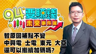 智原回補點不變 中興電 士電 東元 大亞