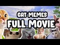 CAT MEMES ROAD TRIP COMPILATION...