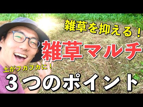あなたの芝生をマルチングする方法 芝刈り機の方法 マルチングのレビュー 利点 欠点 マルチング 天然肥料