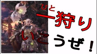 歴戦王ネルギガンテ討伐った