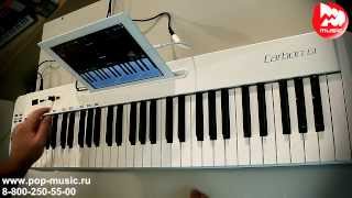 Video thumbnail for MIDI клавиатура SAMSON CARBON 61 by PopMusicRu
