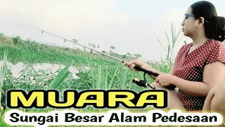 Download lagu Mancing ikan di sungai besar kampung pedesaan yang indah mp3