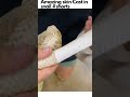 Amazing skin cast in snail Reptile 🔥#shorts #viral #shortsfeed