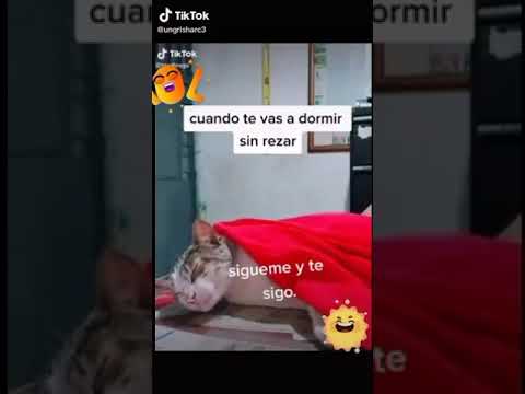 El mejor tik Tok