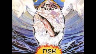 Steve Hillage - Aftaglid