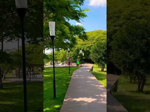 Está haciendo muchísimo calor en la costa de #vicentelopez a esta hora #shorts #buenosaires #travel
