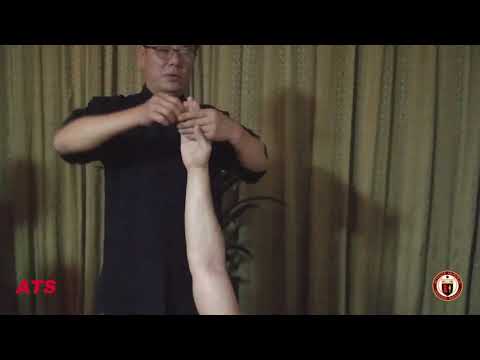 ALLA SCOPERTA DEL QI E DEL POTENZIALE UMANO