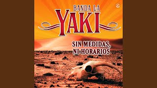Sin Medidas, Ni Horarios