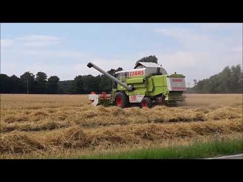 Die erste Gerste 2018 Fällt!