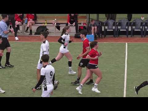 DSC A1 -  De Meeuwen A1 Samenvatting