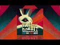 Jefferson Airplane - White Rabbit (Gumi & Soru Remix)