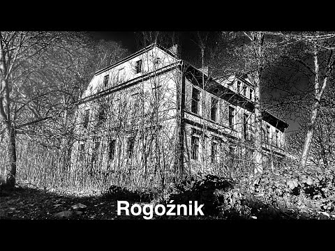 Rogoźnik k.Legnicy - Pałac