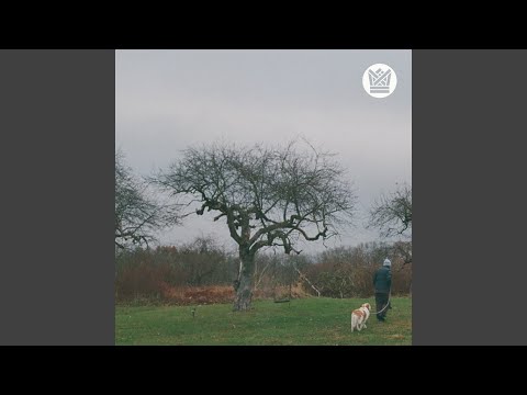 The Tall Green
