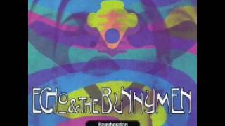 Echo &amp; The Bunnymen  Freaks Dwell  Noel Burke