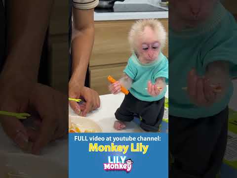 Watch Me Feed My Baby Monkey Some Noodles! #monkey #short #shorts