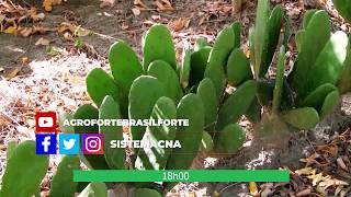 Miniatura do vídeo
