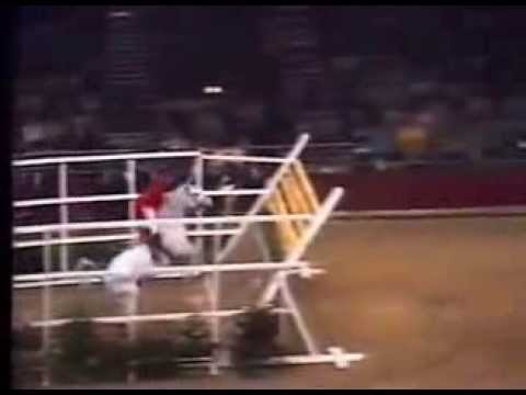 , title : 'World Record   Horse High Jump 2 32 meters'