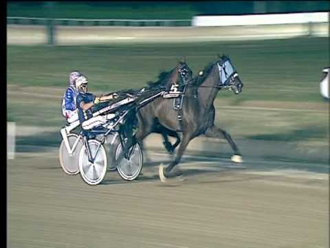 Trotto 05/08/2017 - 7ª corsa