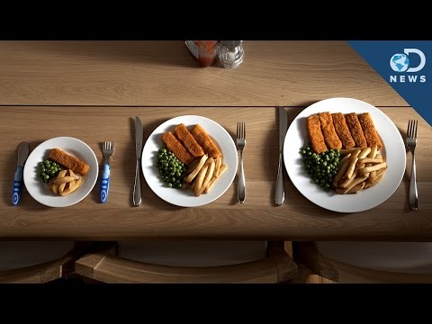 download lagu mp3 mp4 Meal Size, download lagu Meal Size gratis, unduh video klip Meal Size