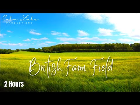 Farm Field Background Video with Windy Green Grass | British Countryside - Calm Relaxing Music