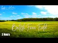 Farm Field Background Video with Windy Green Grass | British Countryside - Calm Relaxing Music