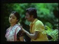 Nee Pogum Paathaiyil Gramatthu Minnal Ramarajan Revathi