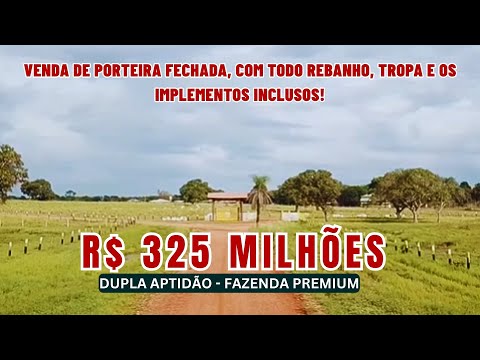 Fazenda Gigante no Tocantins com 17 530 HA – Dupla Aptidão, PORTEIRA FECHADA