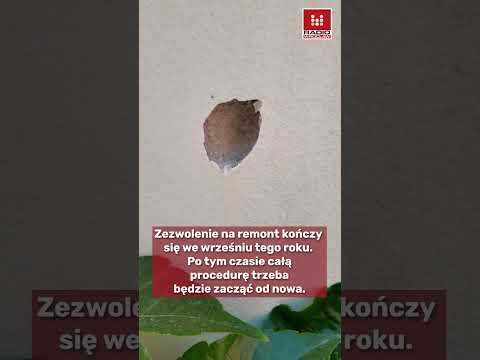 "Jaś" pilnie potrzebuje remontu. Jest już dokumentacja budowlana, ale nie ma pieniędzy