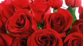 MARISA MONTE   &quot; AMOR I LOVE YOU &quot;