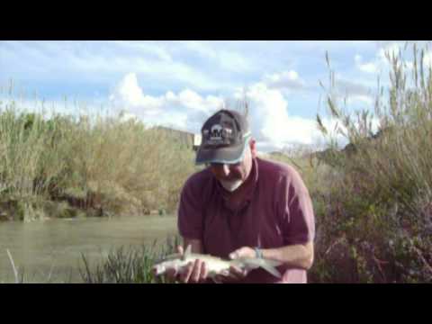 (23) Fishing In Spain - New Swim Revisited