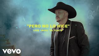 Pero No Lo Hice Lyrics English Translation