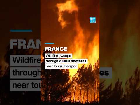 France : Wildfire sweeps through 2,000 hectares near tourist hotspot